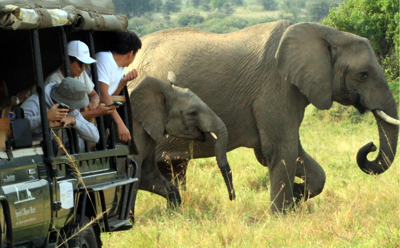 Group Joining Safaris