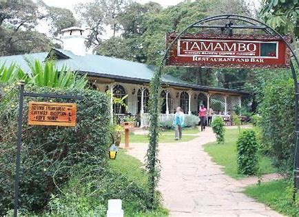 Tamambo Brasserie