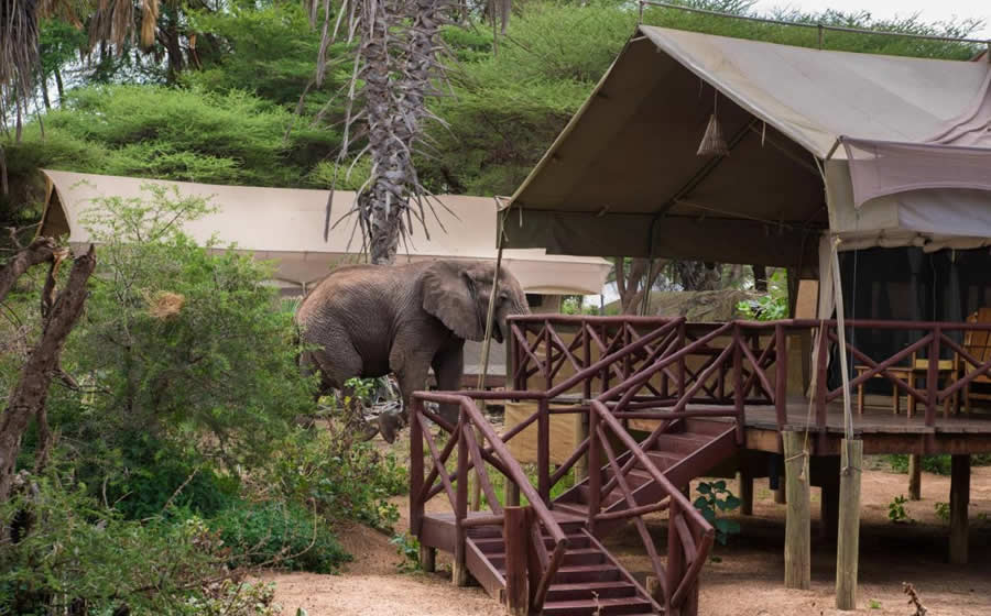 Elephant Bedroom