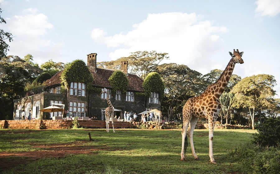 Giraffe Manor 