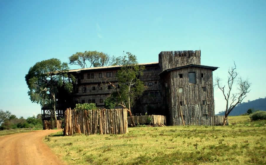 Treetops Lodge