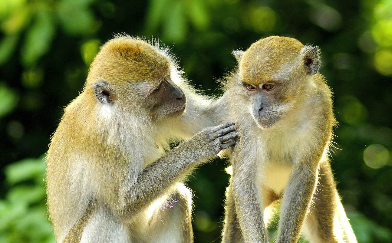 Akagera National Park