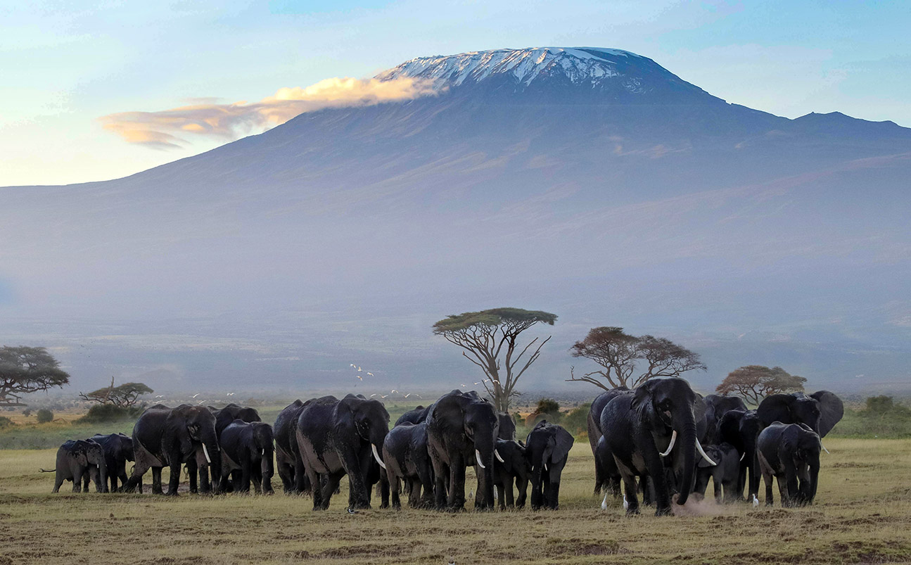 Amboseli National Park