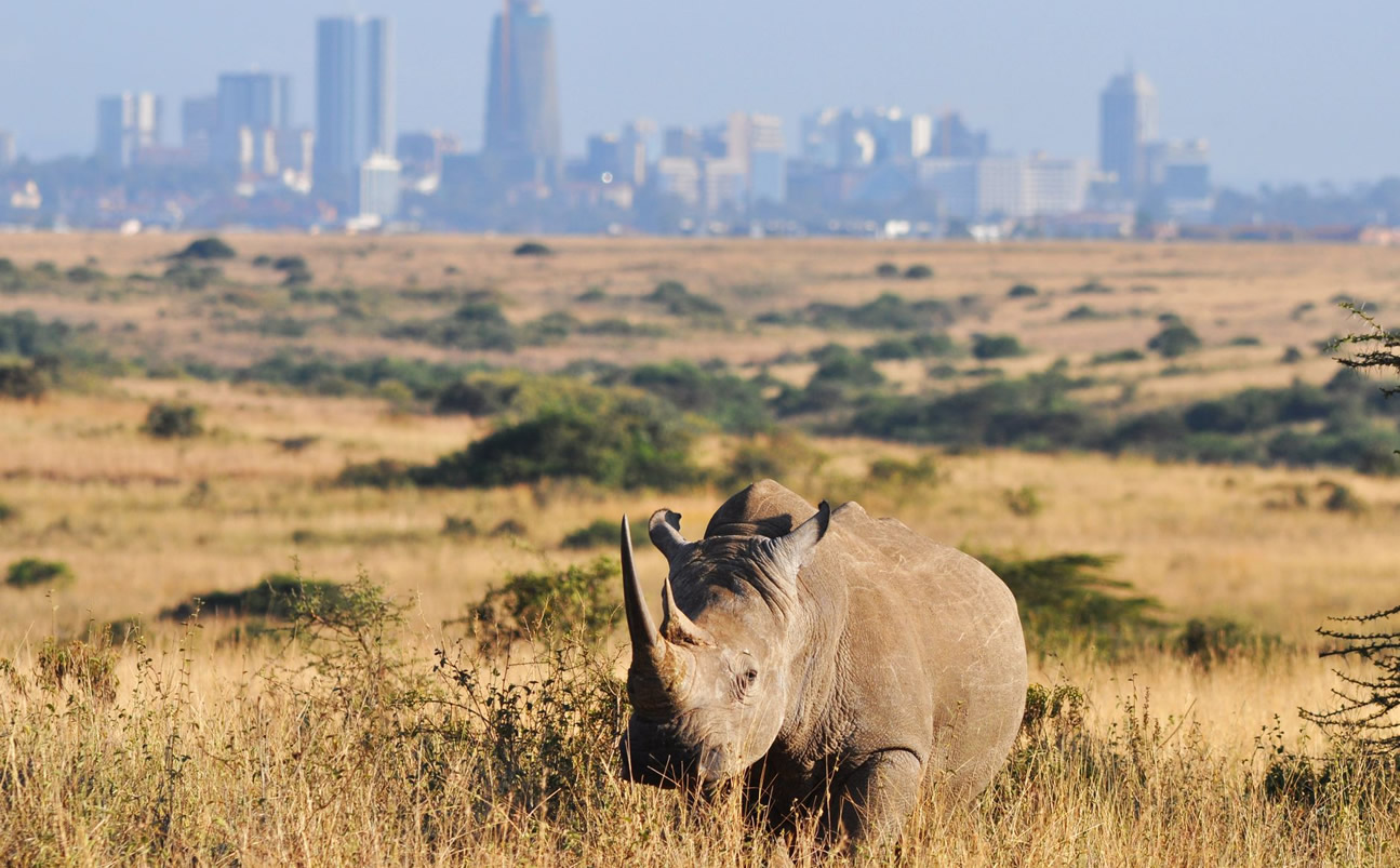 Nairobi National Park