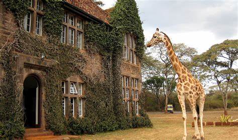 Nairobi City Tour (Elephant Orphanage, Giraffe Centre, Nairobi Museum)