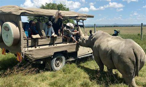 Maasai Mara - Daily departures