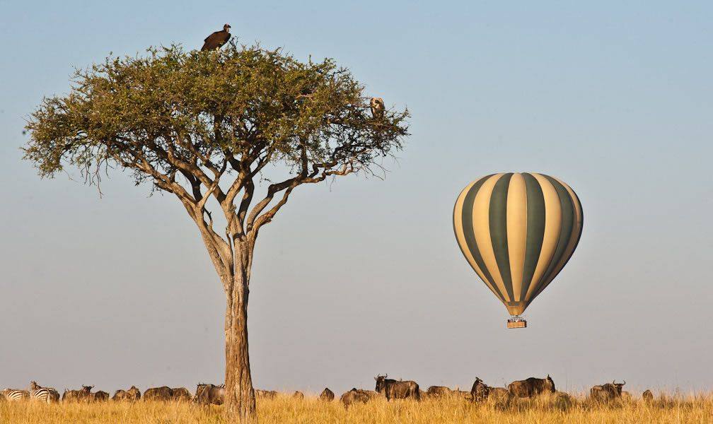 Maasai Mara, Nakuru Budget Safari