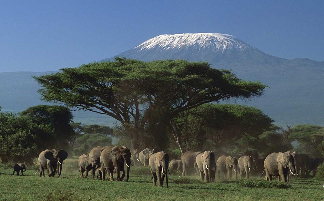 Tsavo West & Tsavo East