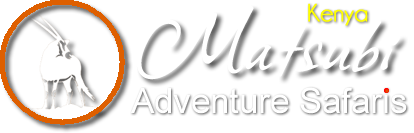 Matsubi Adventure Safaris and Travel